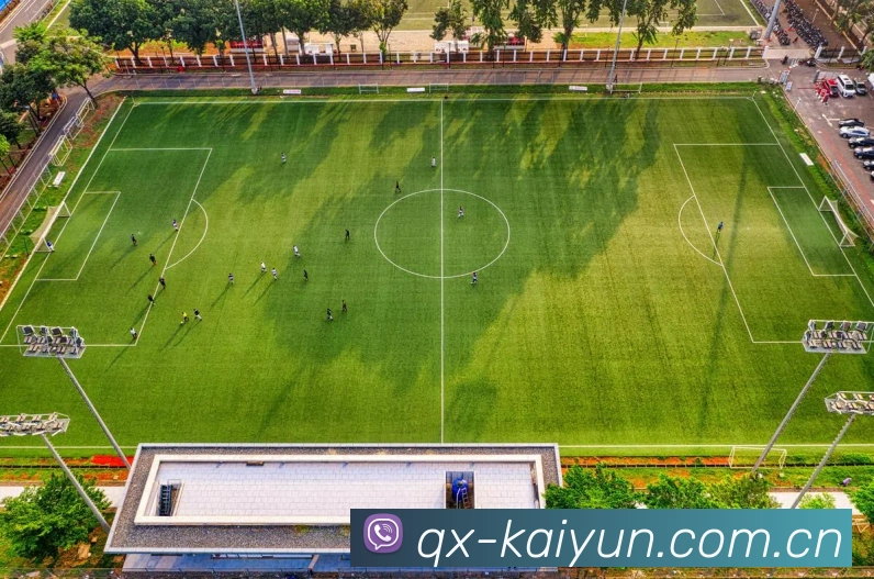 kaiyun 关于我们封面